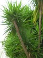 2007-Louisiana-Mission-Trip EBC (279).JPG